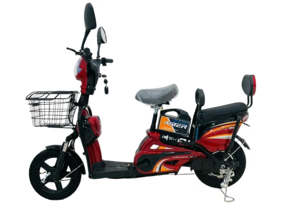 Ghazi 2-Seater Delivery Electric Bike – Cargo E-Bike for Business & Commuting