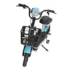 W4 2-Seater Pedal Assisted E-Bike