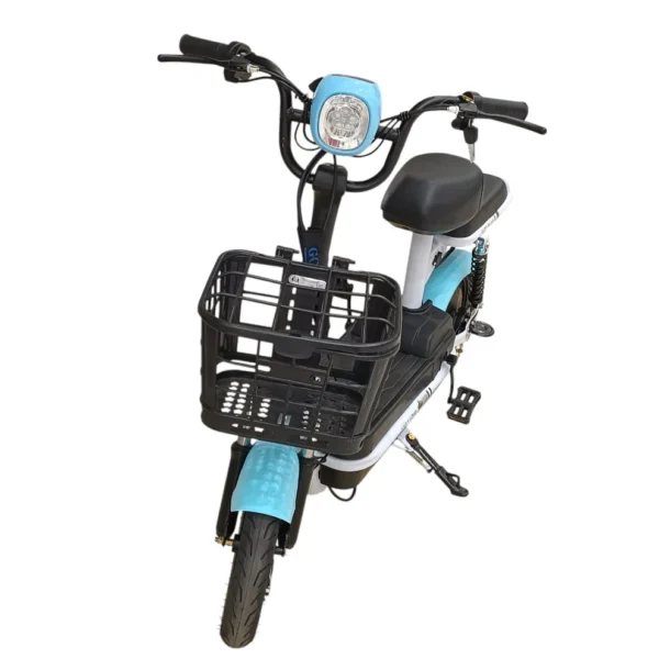W4 2-Seater Pedal Assisted E-Bike