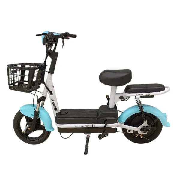 W4 2-Seater Pedal Assisted E-Bike