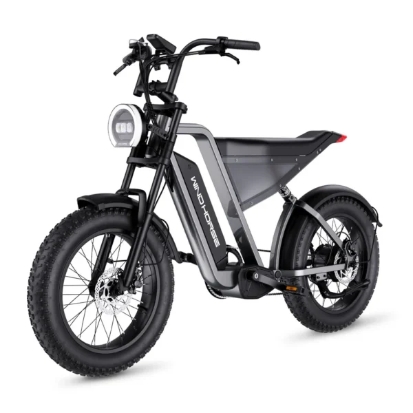 D3 Fat Tire E-Bike | 7-Speed Off-Road Electric Bicycle – GHAZI BICYCLE