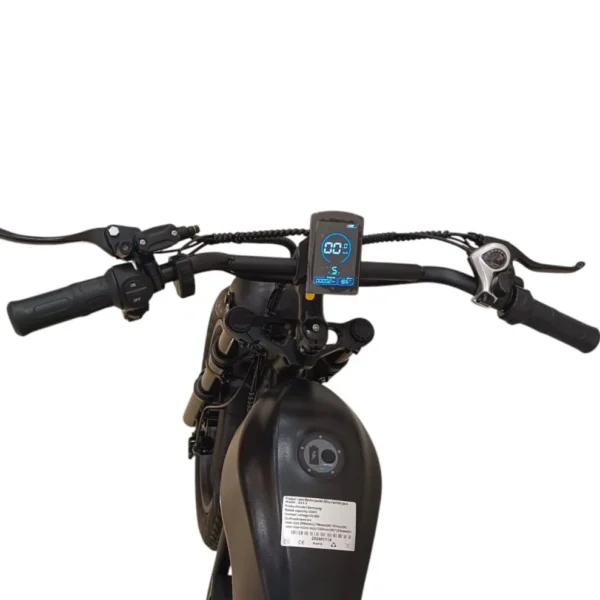 A13 Fat Tire E-Bike | Samsung Battery | 7-Speed Off-Road Bicycle – GHAZI