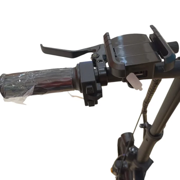 Folding Electric Bike – 450W Motor, 48V 15AH Battery, 2-Seater with Pedals