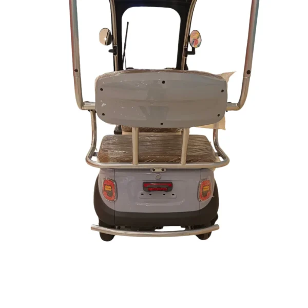F7C Tri-Wheel Family Buggy with Roof | 3-Seater Electric Scooter | GHAZI BICyCLE