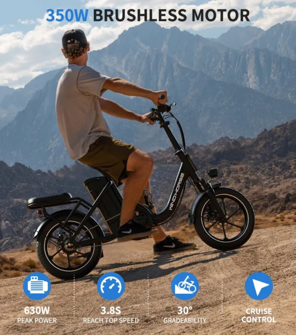 G_50a64c71-c292-4630-95b0-f344302bf23b.webp W2B 2-Seater Foldable E-Bike | Compact Design & Long Range | GHAZI BICyCLE