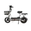 W4 2-Seater Pedal Assisted E-Bike