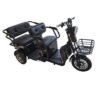 Electric Family 2-Seater Tricycle X7 | 48V Battery | GHAZI BICyCLE