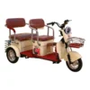 H8 Electric Tricycle – 3-Seater Family E-Trike with Basket | My Golf Ride Dubai