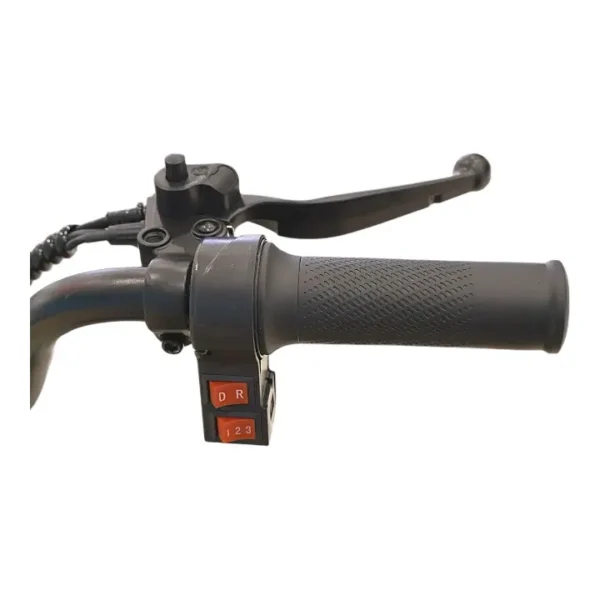 H8 Electric Tricycle – 3-Seater Family E-Trike with Basket | My Golf Ride Dubai