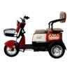 X3 Electric Three-Wheel Tricycle for Family, 50km Range – 48V 20Ah Lead Acid