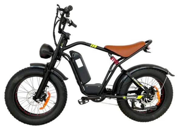 S1 Fat Tires E-Bike with 5 Speed Shimano Gears