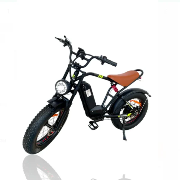 S1 Fat Tires E-Bike with 5 Speed Shimano Gears