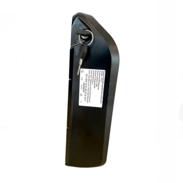 S1 Fat Tires E-Bike with 5 Speed Shimano Gears