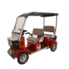 T13 Eco Size 4-Wheel 3-Seat Electric Golf Cart | Music Speakers & Reverse Mode | GHAZI BICyCLE