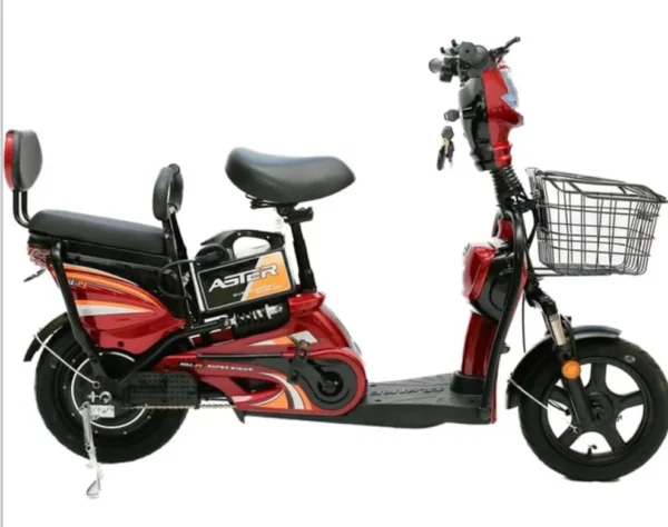 Ghazi 2-Seater Delivery Electric Bike – Cargo E-Bike for Business & Commuting