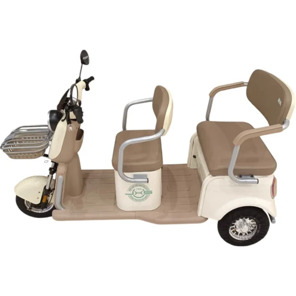 F7 Tri-Wheel 3-Seater Panda-Style Golf Cart | 48V 25Ah Battery | Long Range|Ghazi