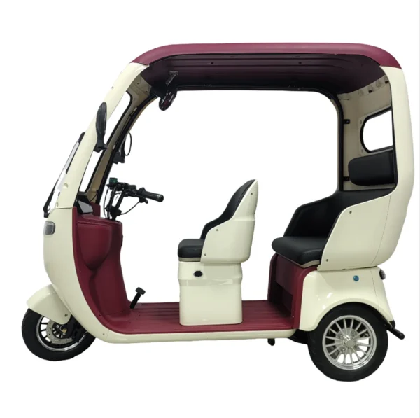 Ghazi Electric Tricycle 3 Wheel Long Range- Battery 60v20Ah, Family Electric Golf- Cart Electric Mobility- Scooter for, Adult